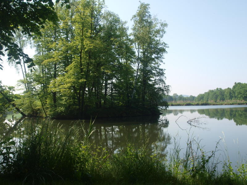 Dwor Debowiec I Esterno foto